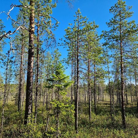 Raate Guest House Suomussalmi Buitenkant foto