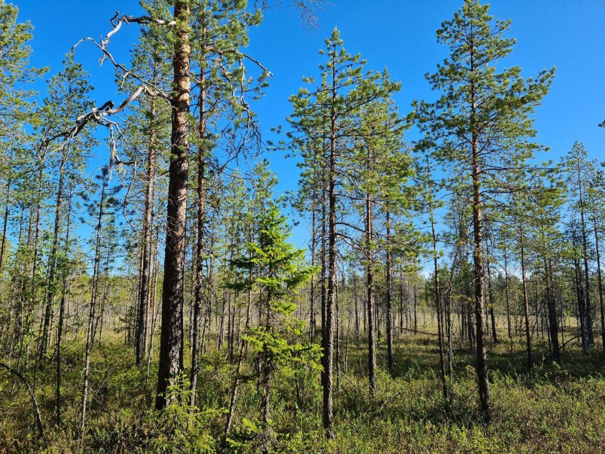 Raate Guest House Suomussalmi Buitenkant foto