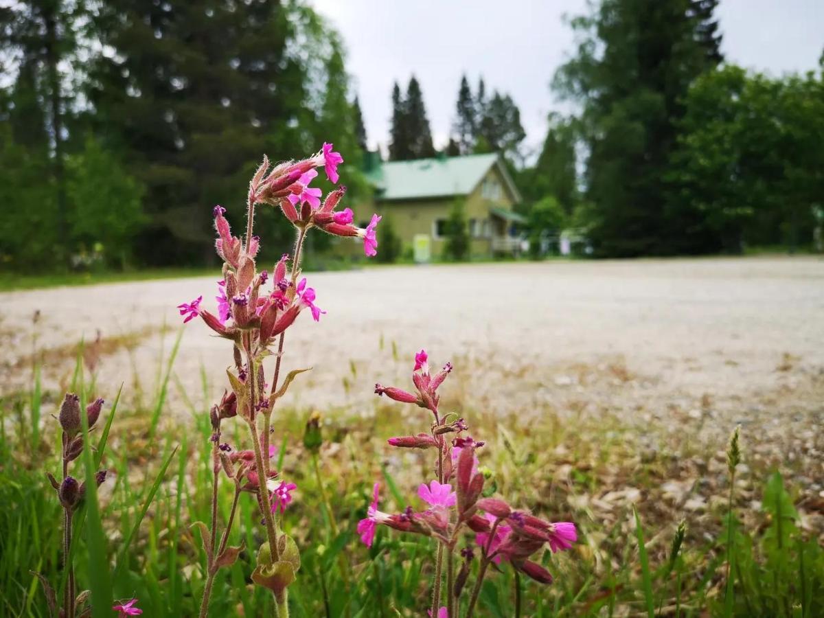 Raate Guest House Suomussalmi Buitenkant foto