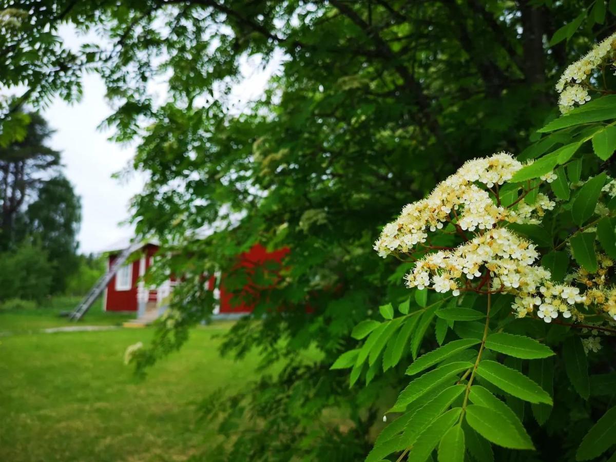 Raate Guest House Suomussalmi Buitenkant foto